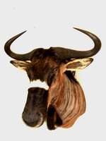 GNOU