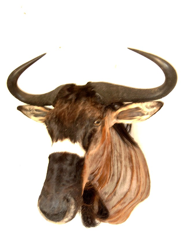 GNOU