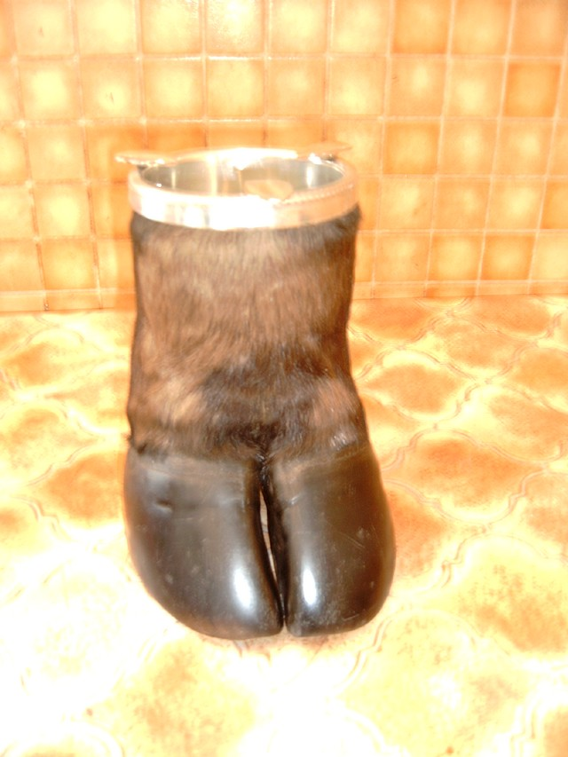 PIED BUFFLE